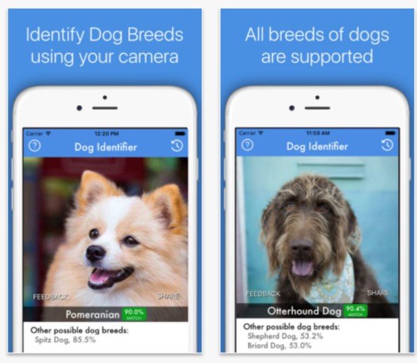Identify Dog App