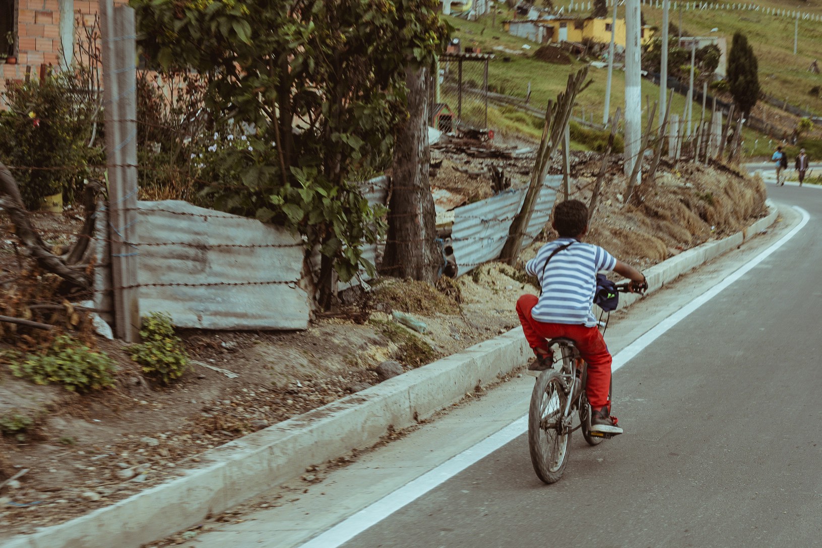 Biblioteca de la Creatividad: una mirada al emprendimiento desde los libros