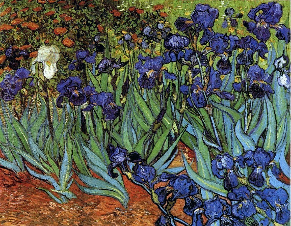 Vincent Van Gogh El Pintor Que Retrató Su Vida A Través Del