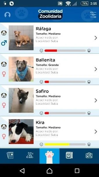 Adopción perros en Bogotá