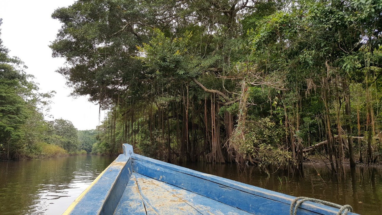 Río Amazonas Canciones