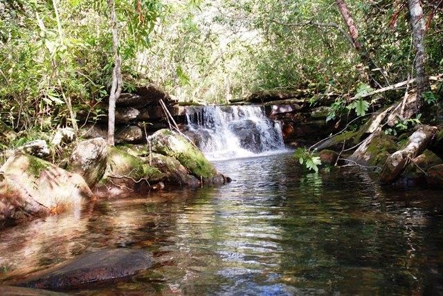 Guaviare: siete destinos para conocerlo y vivirlo