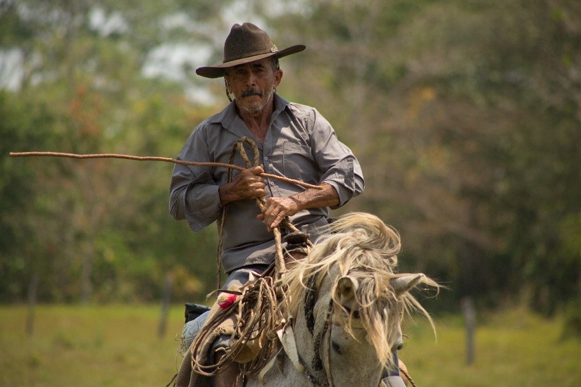 Desde la llanura hasta la sabana bravía, en Casanare Somos Región