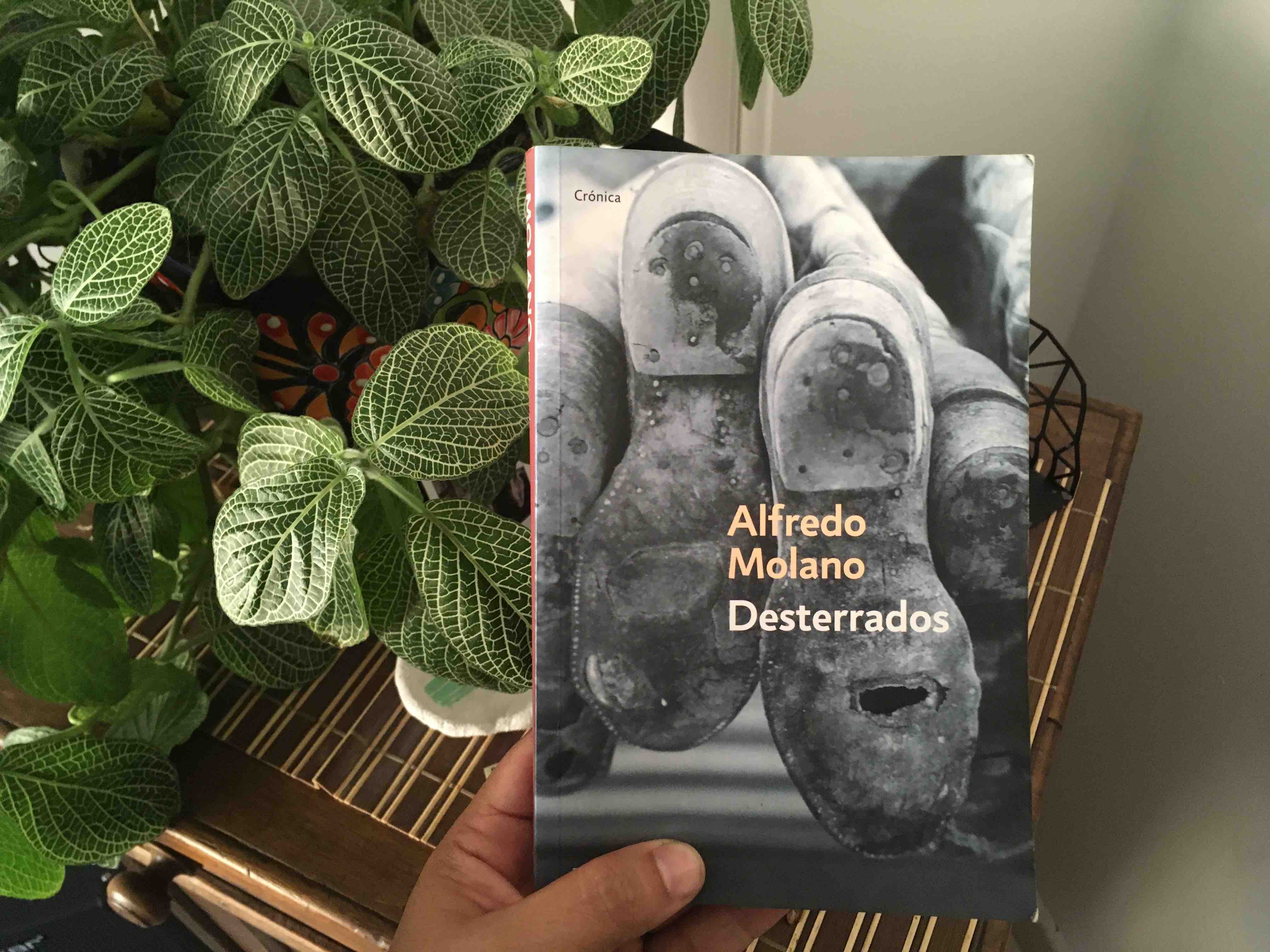 Alfredo Molano muerte, libro 'Desterrados'