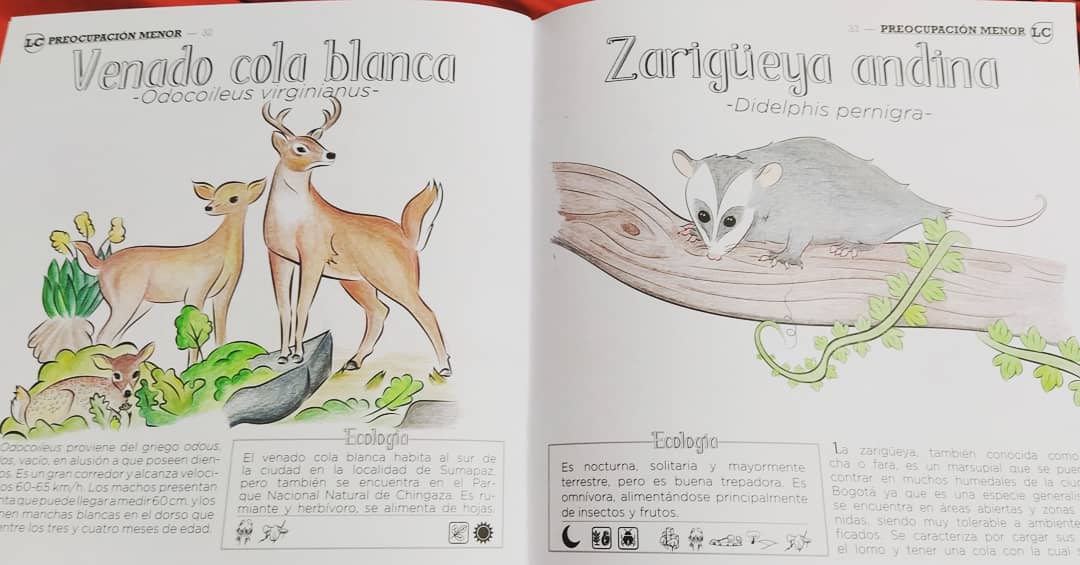 Libros para colorear sobre naturaleza en Bogotá 2023