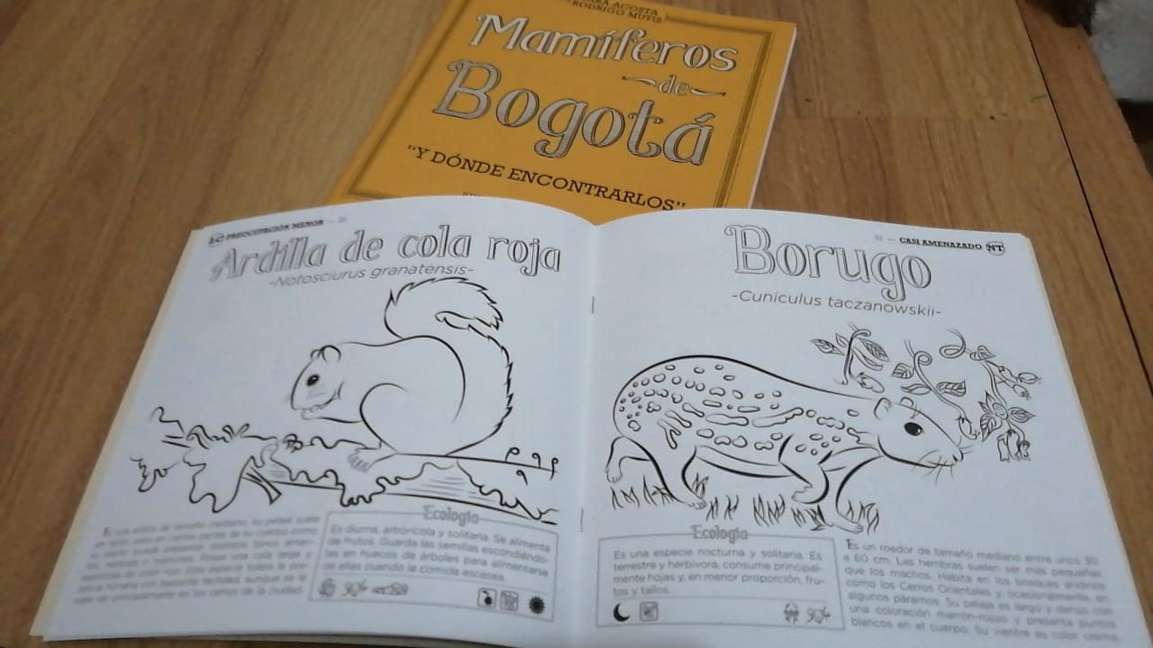El libro que te ayuda a encontrar a los mamíferos de Bogotá (y colorearlos)