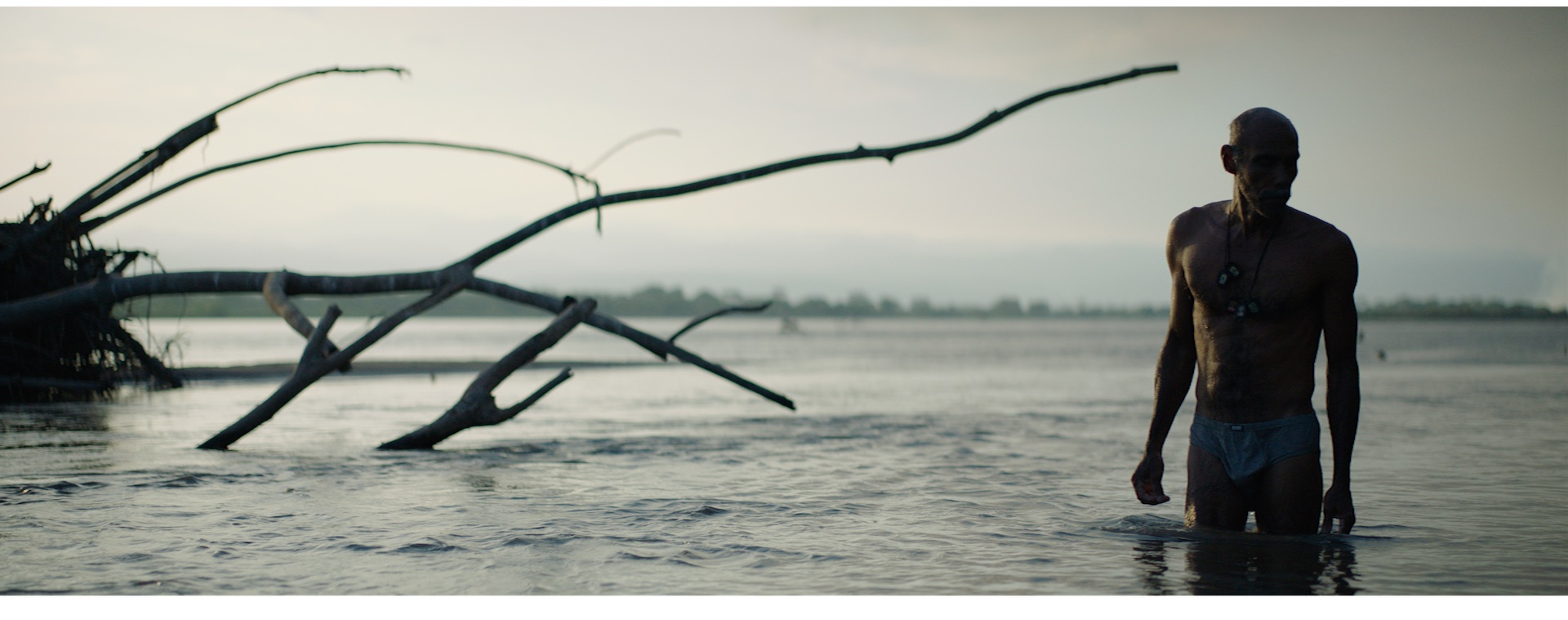 “Para los jefes paramilitares, el horror era un juego”: Nicolás Rincón Gille, director de ‘Tantas almas’