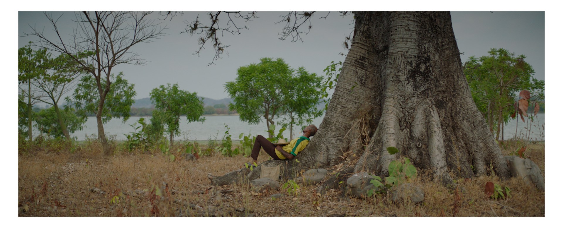 “Para los jefes paramilitares, el horror era un juego”: Nicolás Rincón Gille, director de ‘Tantas almas’