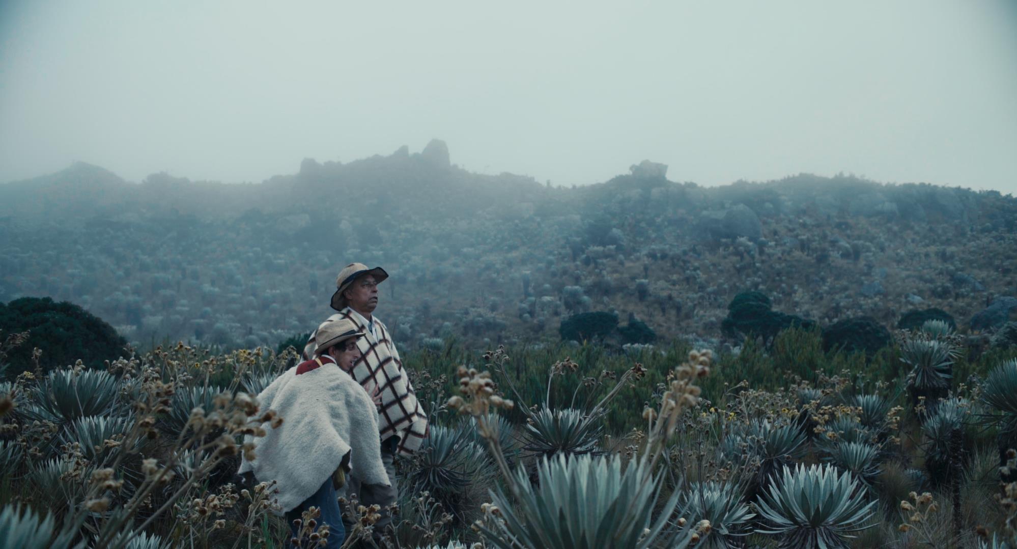“El cine es esclavo del dinero y del argumento”: Augusto Sandino, director de ‘Entre la niebla’