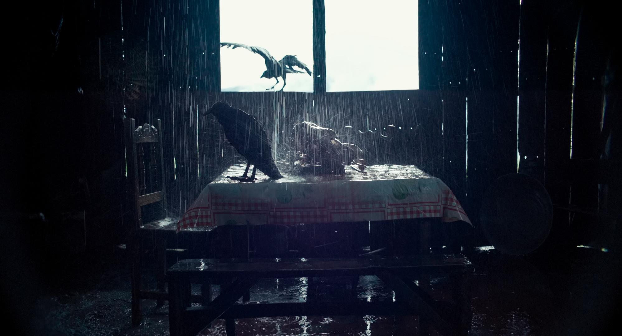 “El cine es esclavo del dinero y del argumento”: Augusto Sandino, director de ‘Entre la niebla’