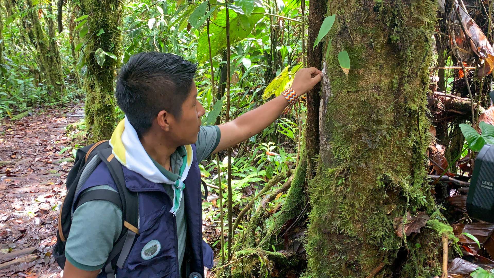 Barbacoas y sus reservas naturales, un viaje a territorios de oportunidad