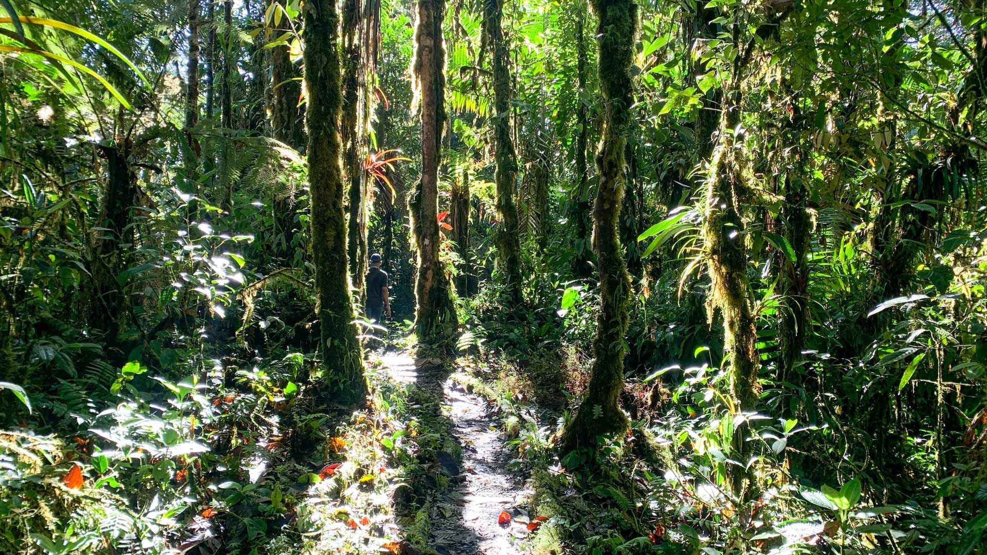 Barbacoas y sus reservas naturales, un viaje a territorios de oportunidad