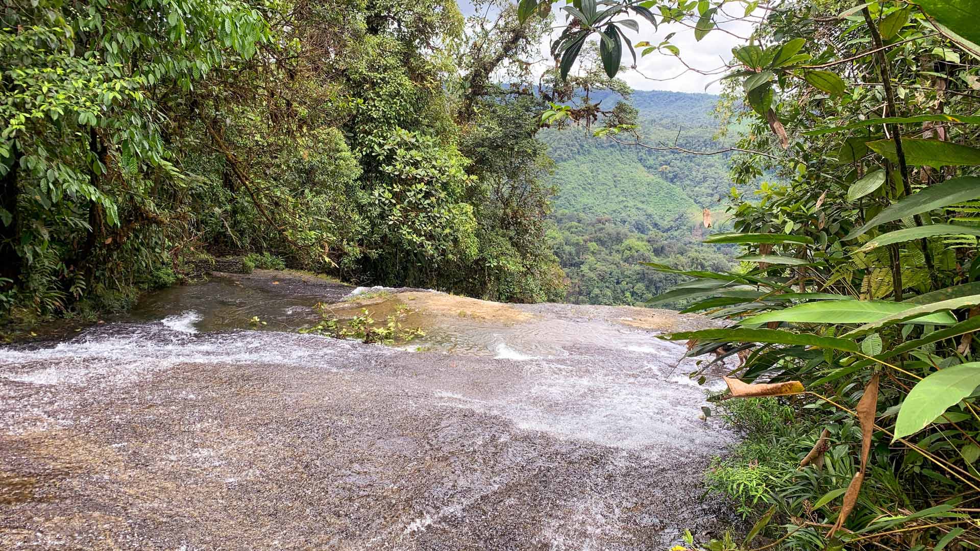 Barbacoas y sus reservas naturales, un viaje a territorios de oportunidad