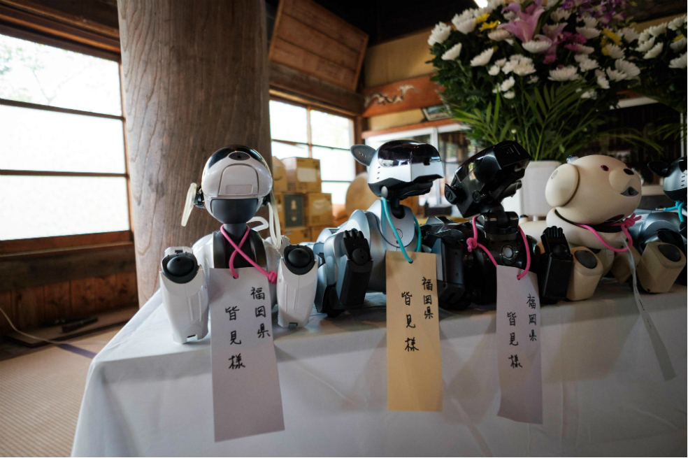 Funeral masivo de perros robots en Japón / Foto: AFP