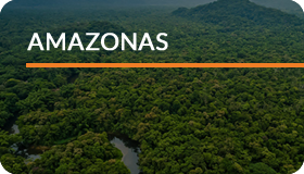 Amazonas Amazonas