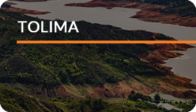 Tolima Tolima