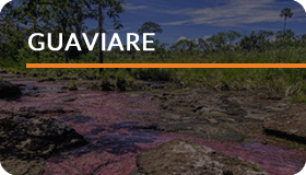 Guaviare Guaviare