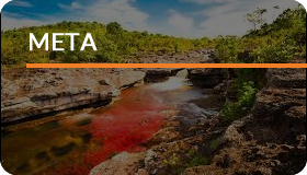 Meta Meta