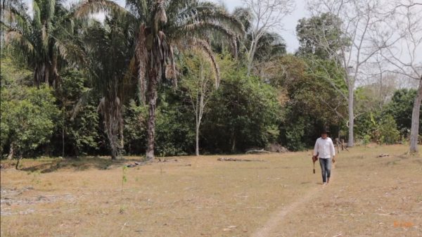 Los personajes escondidos de los Llanos Orientales