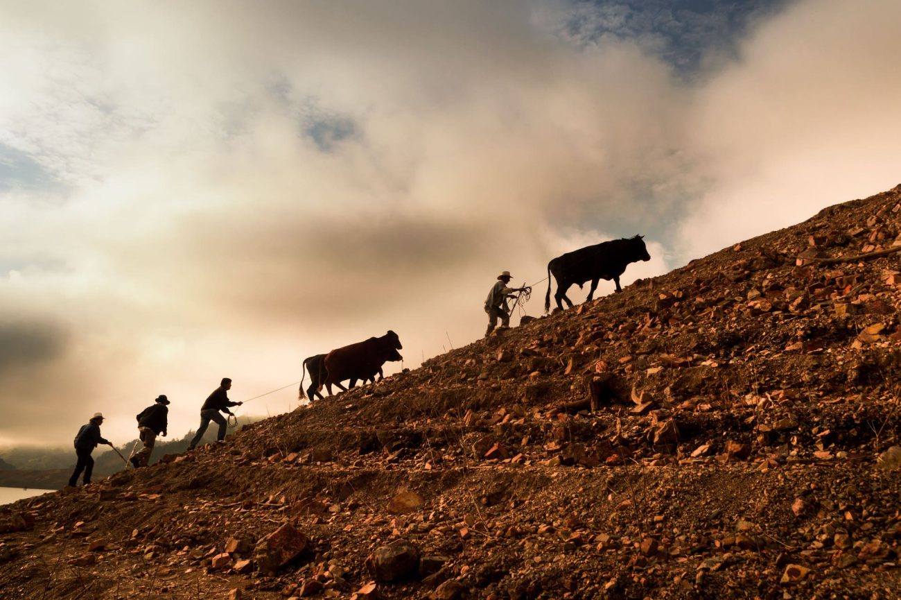 Participa de la tercera edición del concurso de fotografía ‘El campo cuenta’