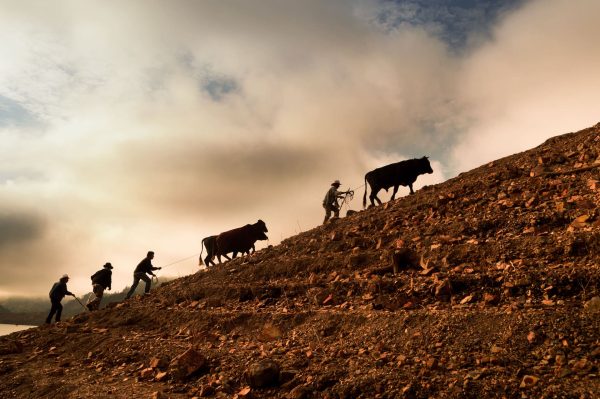 Participa de la tercera edición del concurso de fotografía ‘El campo cuenta’