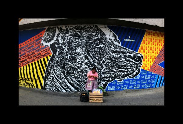 ¡Pongámonos animales!