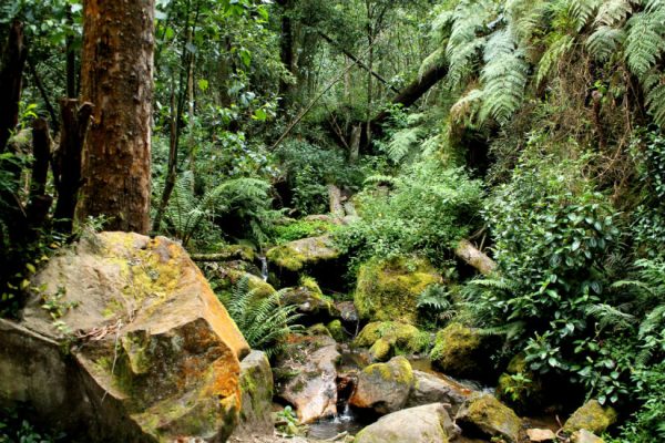 La quebrada La Vieja se reabre al público