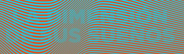 ¡Estos son los ganadores BOGOSHORTS 2019!