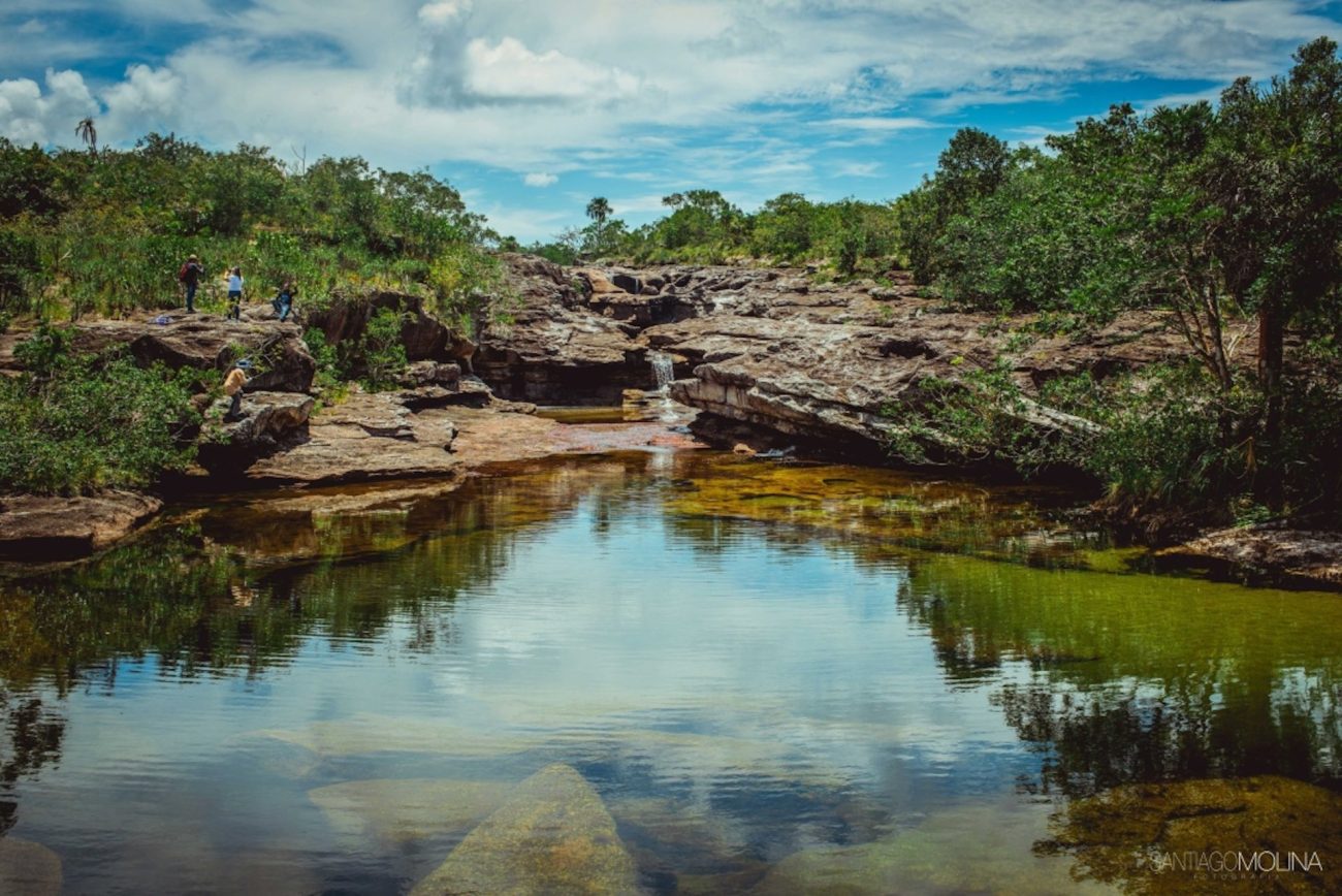Cómo nace el Día Mundial del Agua