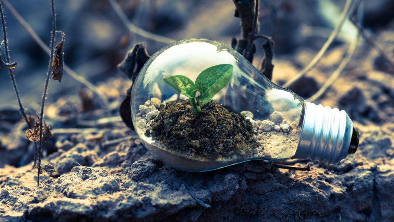 Seis consejos para reducir el consumo de energía en tu hogar y ahorrar dinero