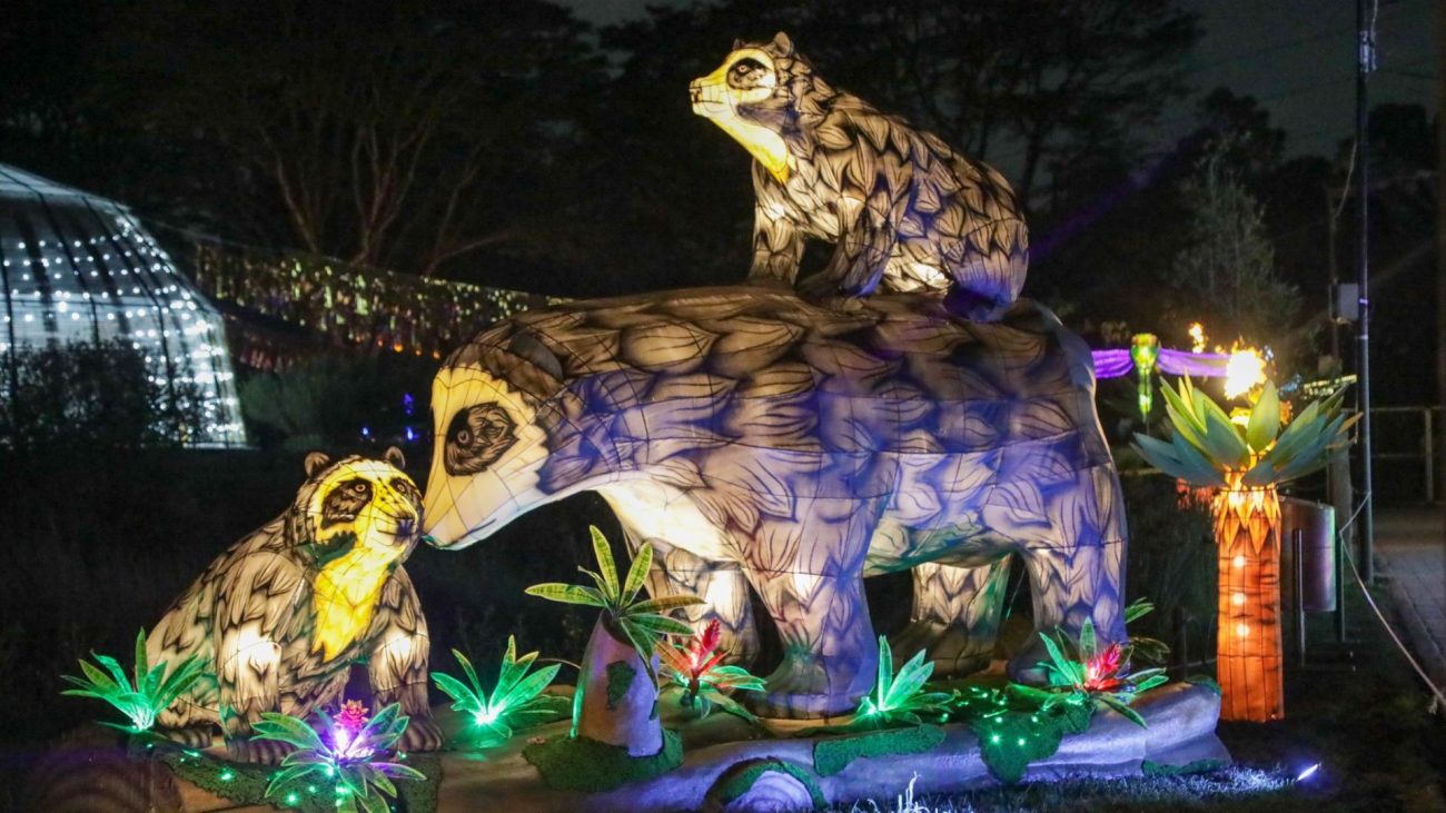 Festival de luces del Jardín Botánico 2023: precio, horarios y más información