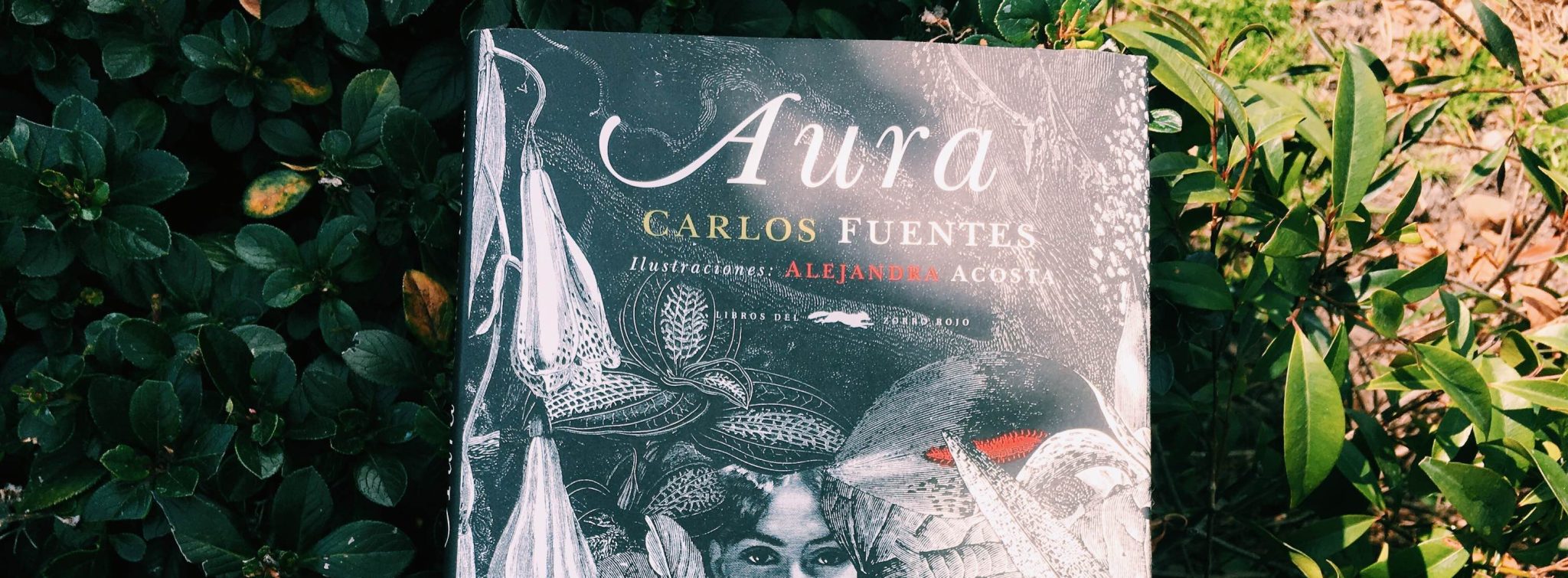 Ficha Bibliografica Del Libro Aura De Carlos Fuentes canaltrece.com.co