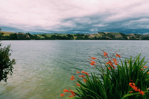 Concurso de cuentos CAR: historias para la naturaleza