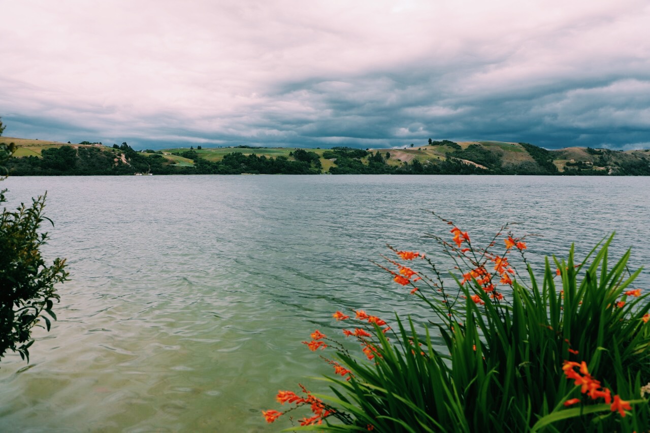 Concurso de cuentos CAR: historias para la naturaleza