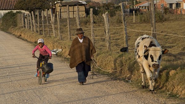 ¡A conocer el campo colombiano!
