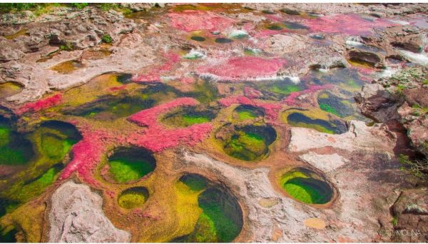 Caño Cristales, paraíso natural de La Macarena