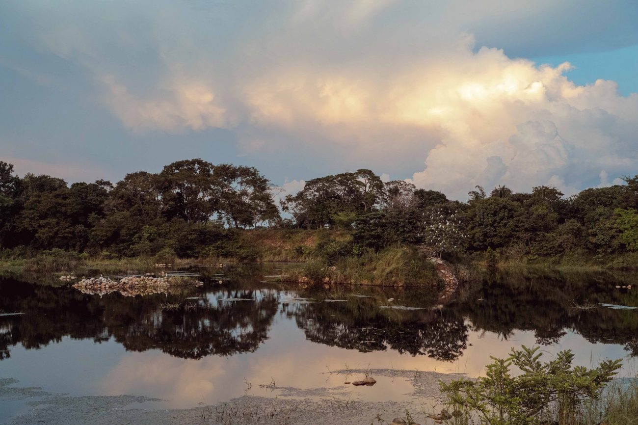 'Carmentea' más allá del Joropo Llanero