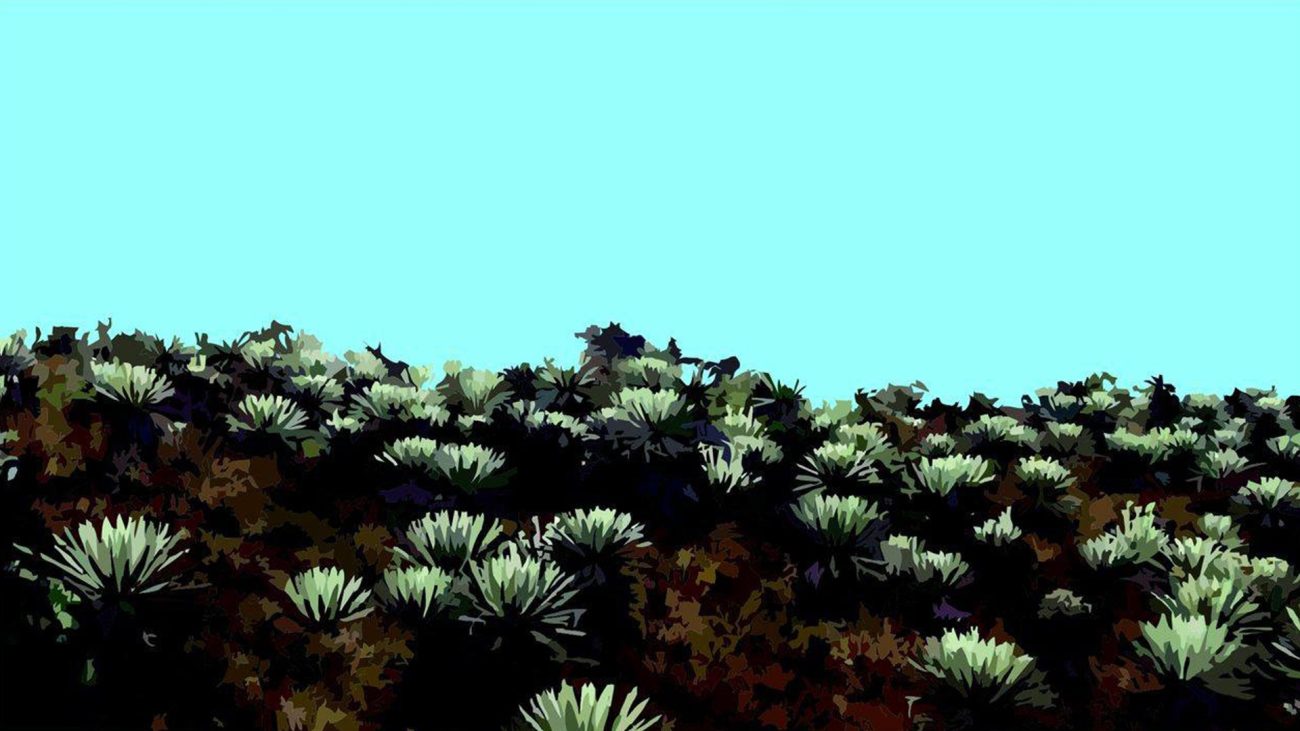 El Supersón Frailejónico estrena su primer disco 'De los montes vienen bajando'