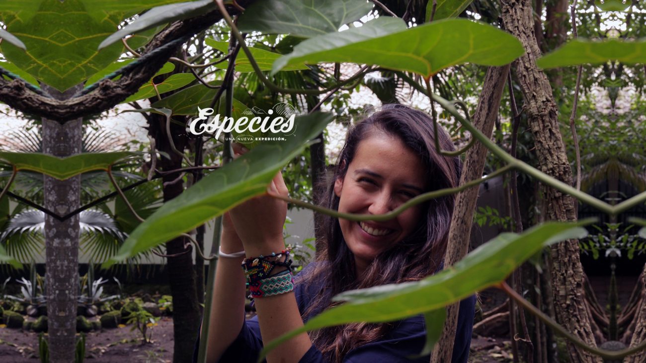 Tatiana Pardo: "Especies es un medio para volver a las raíces"