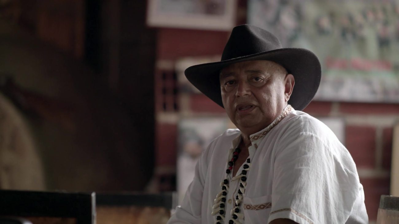 Cuadrillas de San Martín: un caballo y un llanero montado