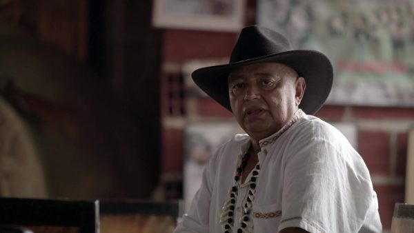 Cuadrillas de San Martín: un caballo y un llanero montado