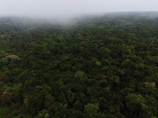 Nuestro pódcast ‘Amazonía, selva adentro’ regresa con su segunda temporada