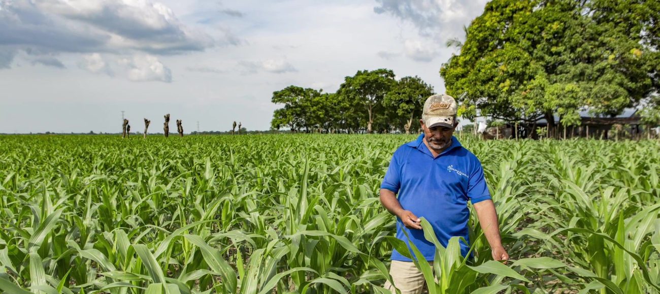 Los datos abiertos en la creación de territorios sostenibles
