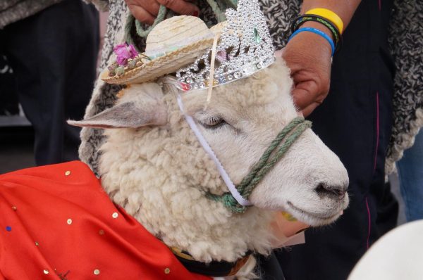 Fiesta, baile y música para celebrar el ‘Día Mundial de la Ruana’