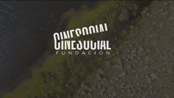 ¡Postúlate!: abren convocatoria del Festival Internacional de Cine “El cine suma paz”