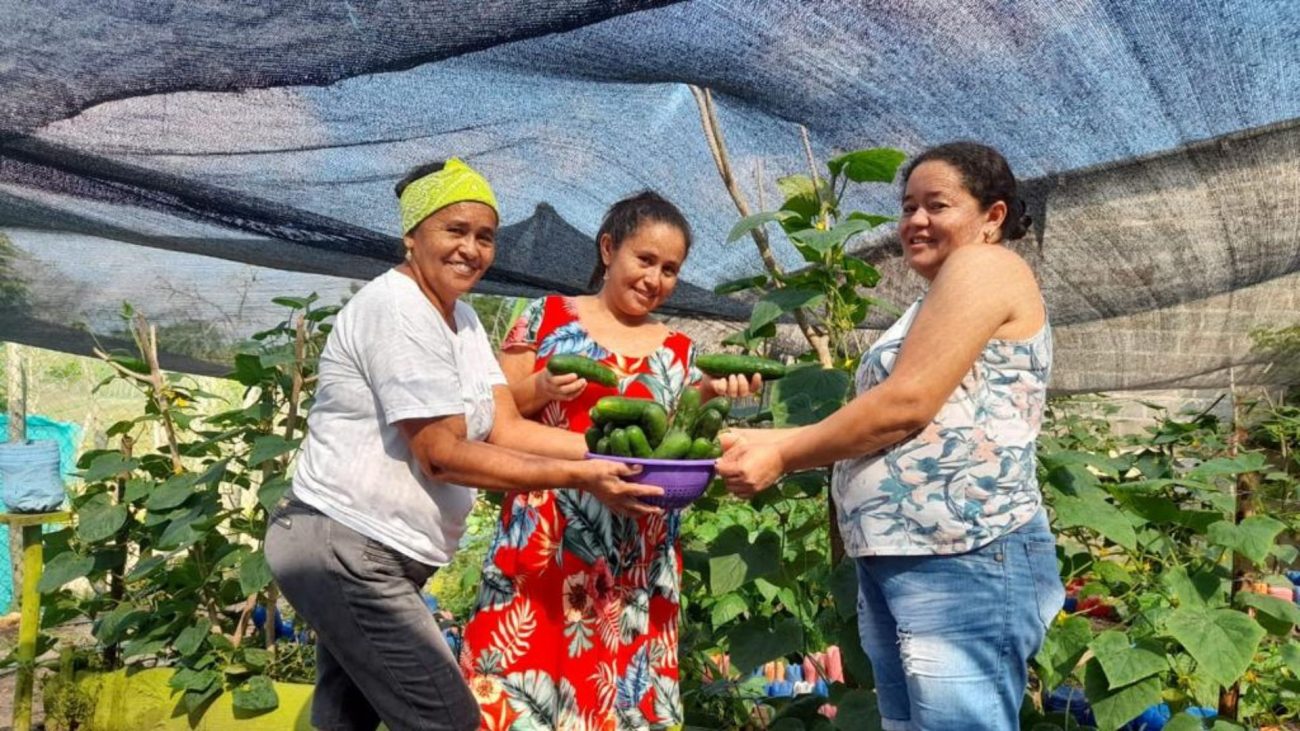 Empoderamiento femenino rural en Sucre: 56 mujeres campesinas mejoran su calidad de vida gracias a proyecto de Hocol y ACDesarrollo