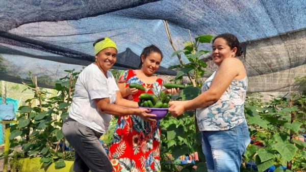 Empoderamiento femenino rural en Sucre: 56 mujeres campesinas mejoran su calidad de vida gracias a proyecto de Hocol y ACDesarrollo