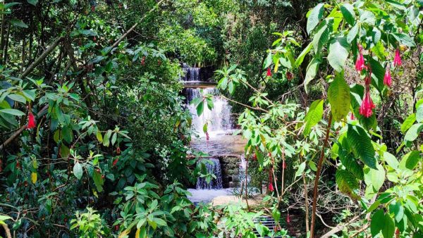 Bañarse en el río en Bogotá: un plan de fin de semana para disfrutar de la naturaleza