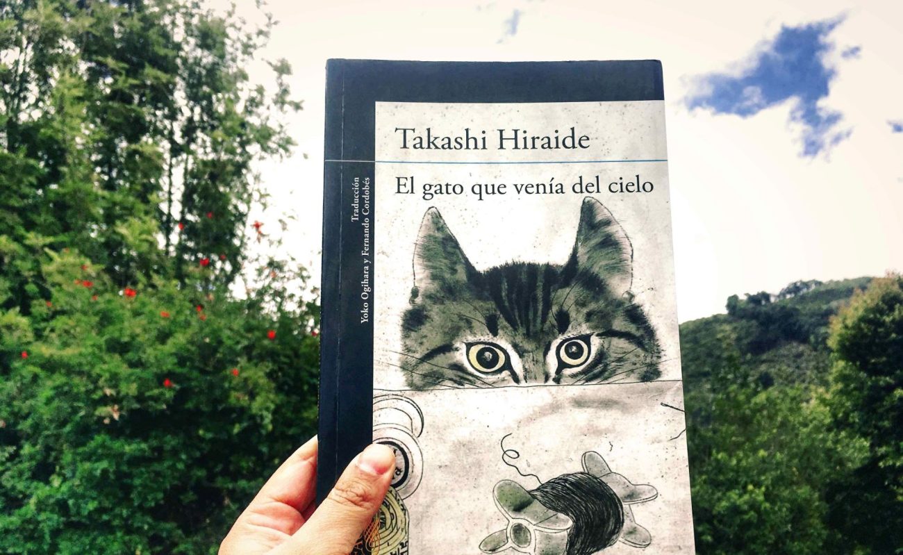 En el día internacional de los gatos celebramos con literatura