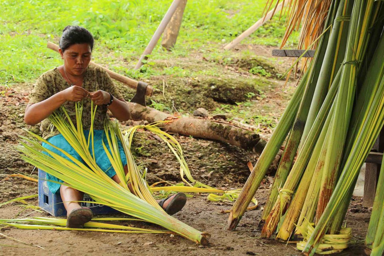 Vichada: trece datos para que no tengas que preguntar “¿Eso qué es?”